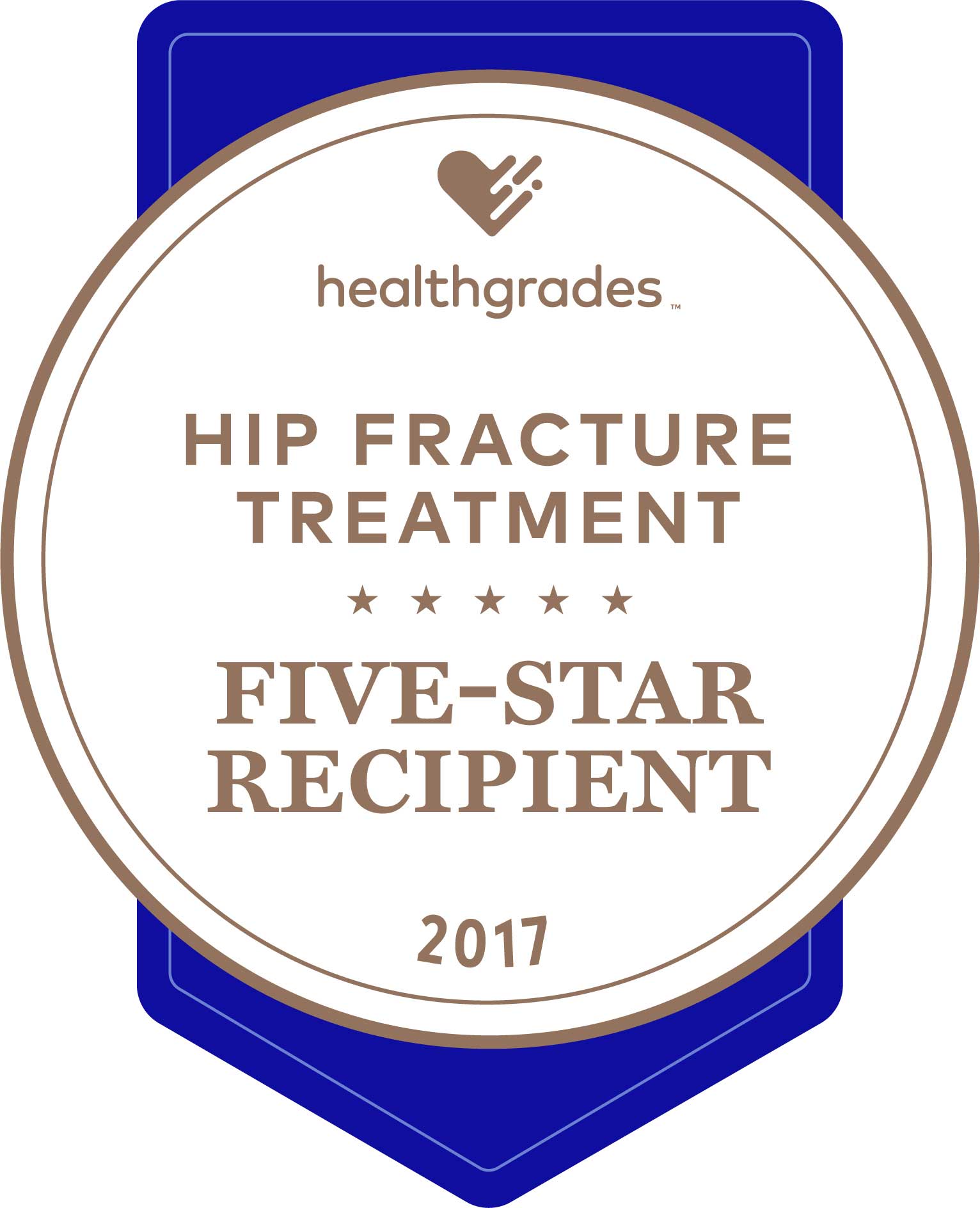 HG five star for hip fracture treatment